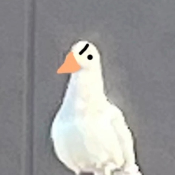 Meet your Posher, Tiff - Picture 1 of 1